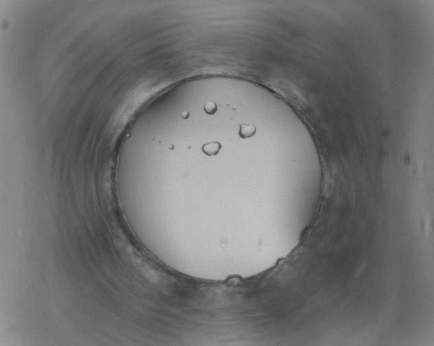 X0000077400098200611101830