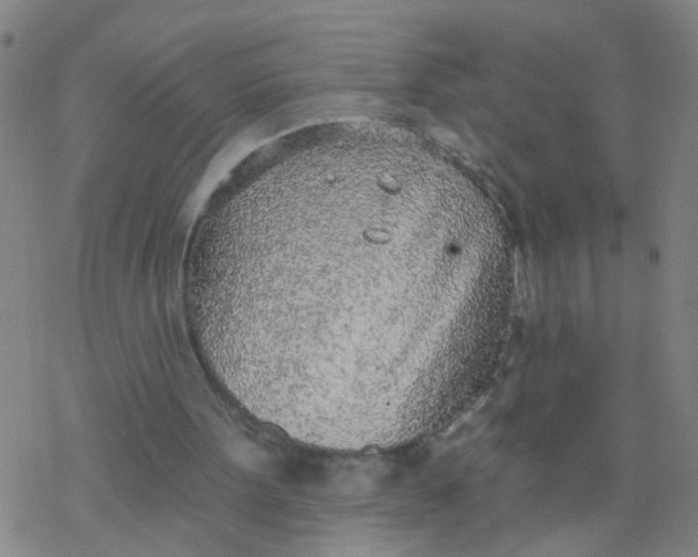 X0000077400099200611101830