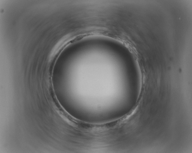 X0000077400101200611101830