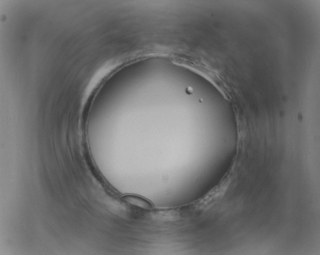 X0000077400102200611101830