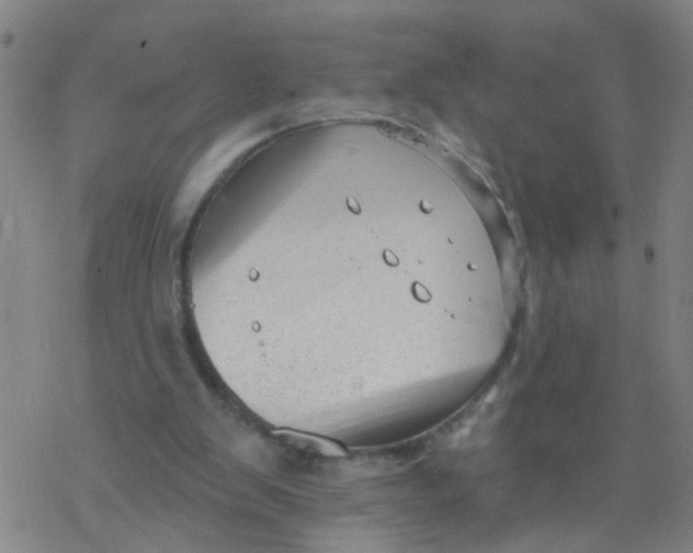 X0000077400103200611101830