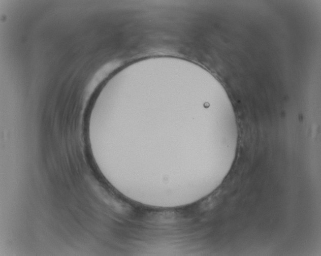 X0000077400104200611101830