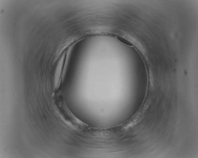 X0000077400105200611101830