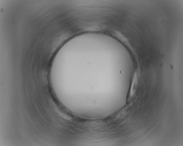 X0000077400106200611101830