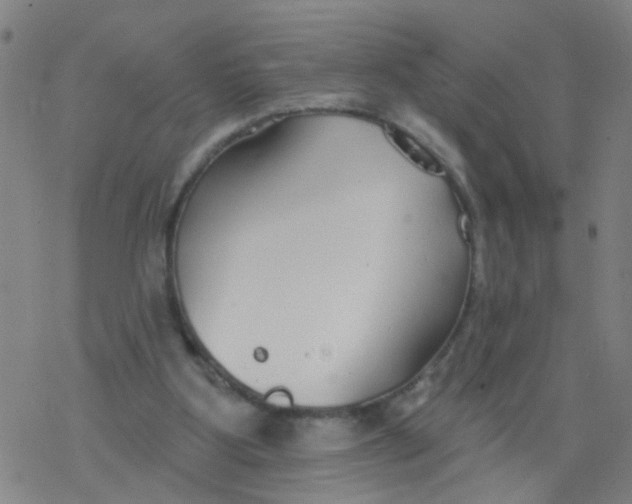 X0000077400107200611101830