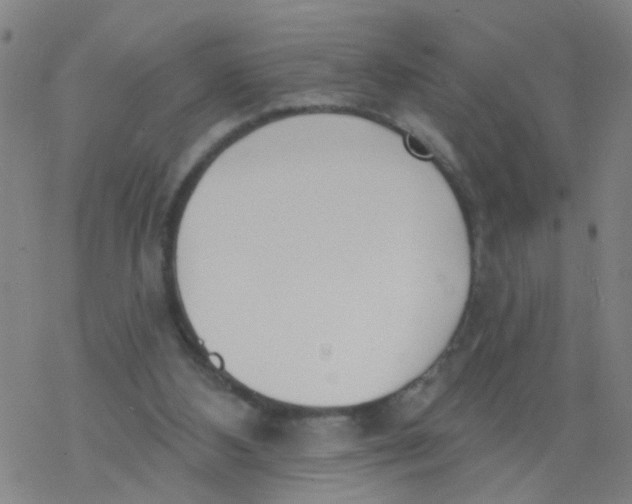 X0000077400108200611101830