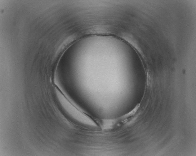 X0000077400109200611101830