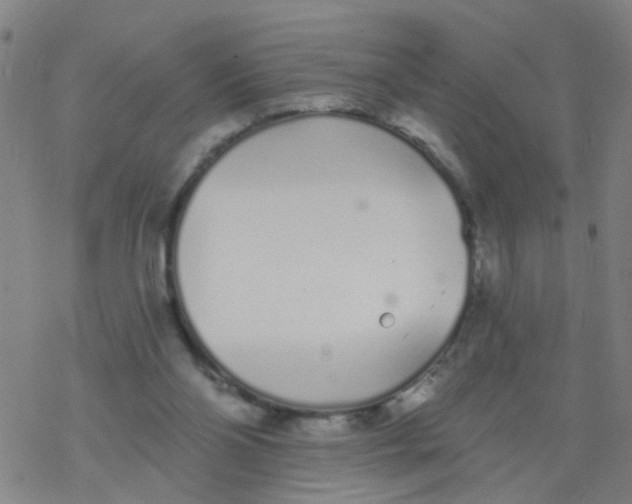 X0000077400110200611101830