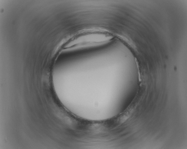 X0000077400111200611101830