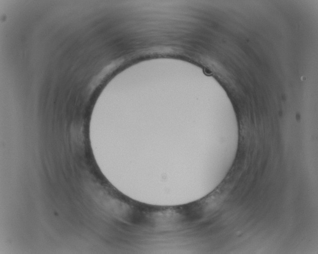 X0000077400112200611101830