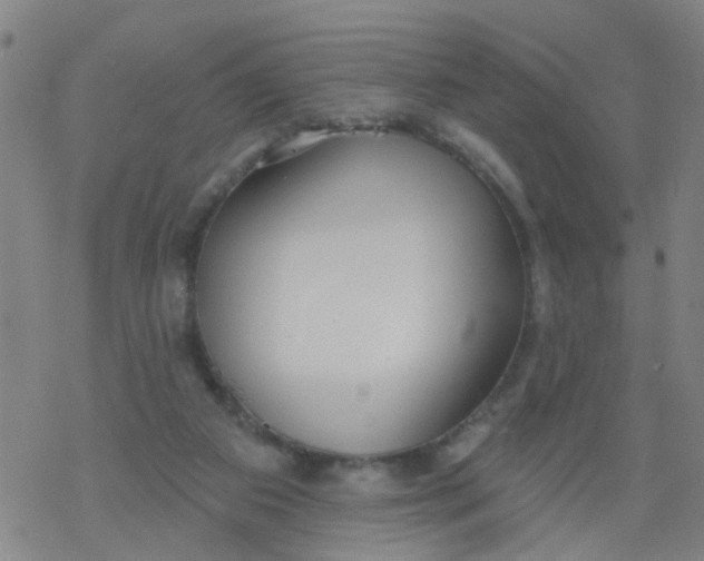 X0000077400113200611101830