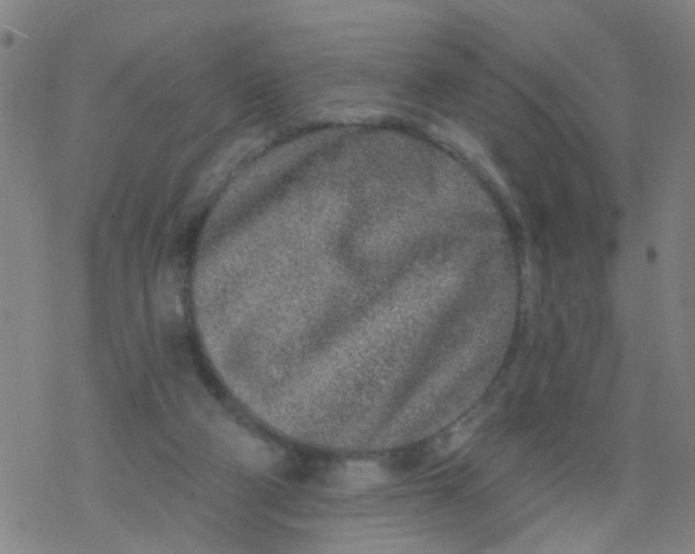 X0000077400114200611101830