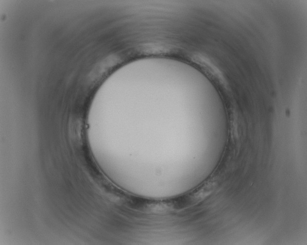 X0000077400115200611101830