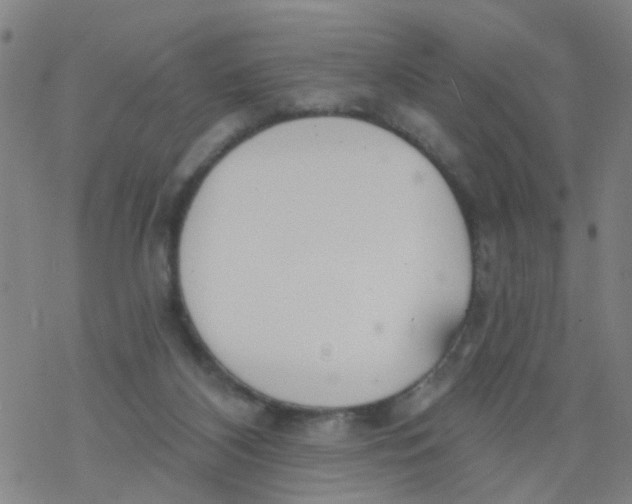 X0000077400116200611101830