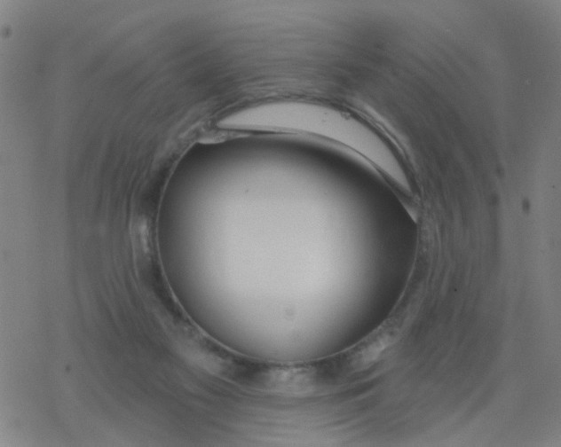 X0000077400117200611101830