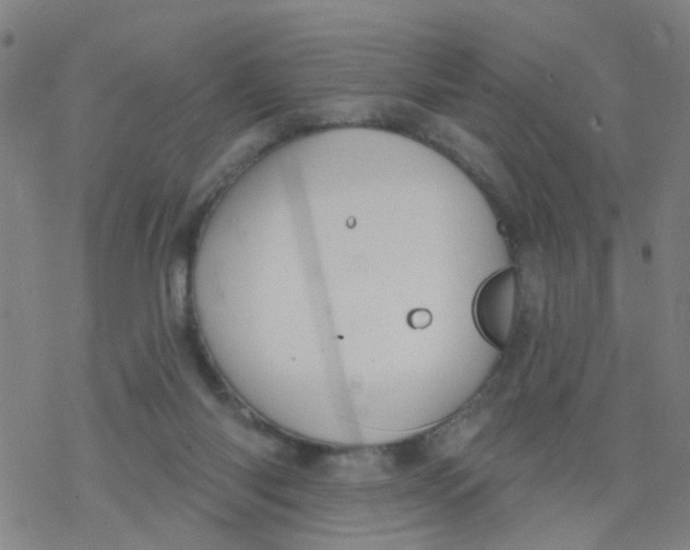 X0000077400118200611101830