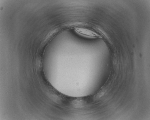 X0000077400119200611101830