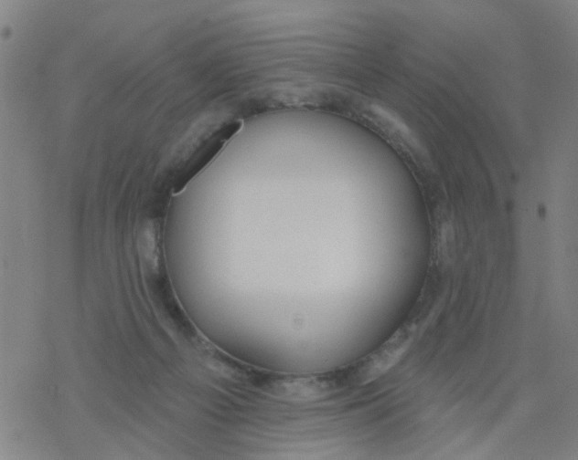 X0000077400121200611101830