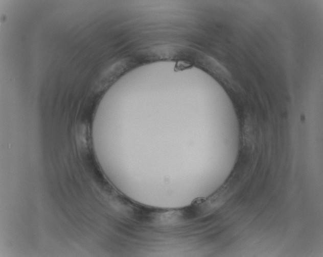 X0000077400122200611101830