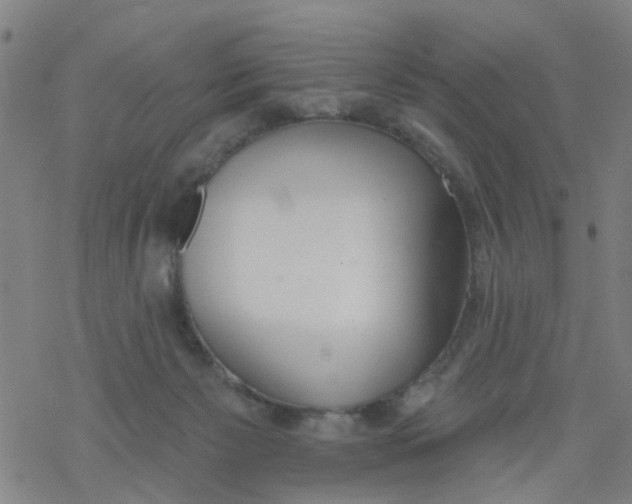 X0000077400125200611101830