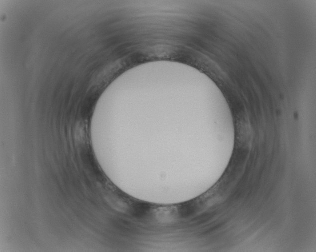 X0000077400126200611101830