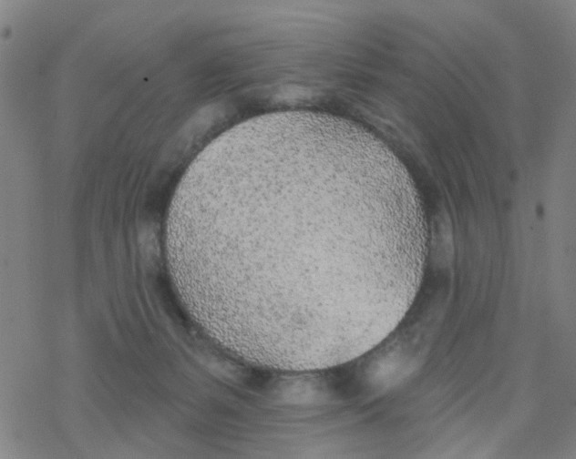 X0000077400127200611101830