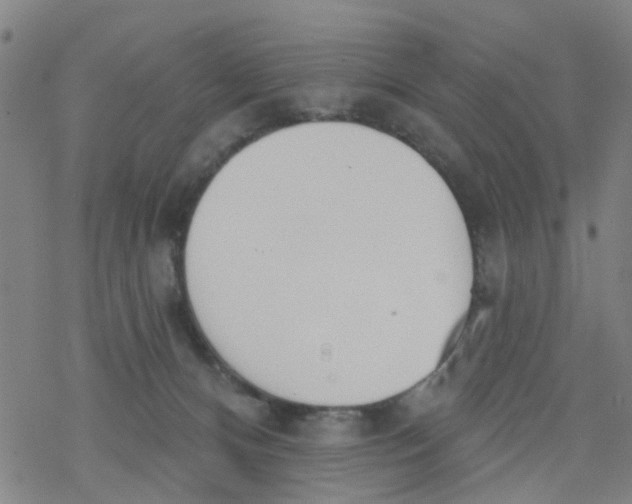 X0000077400128200611101830