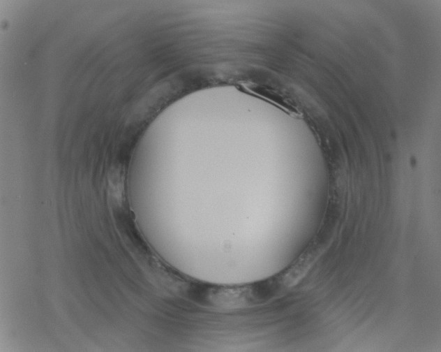 X0000077400129200611101830