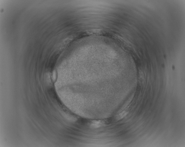 X0000077400130200611101829