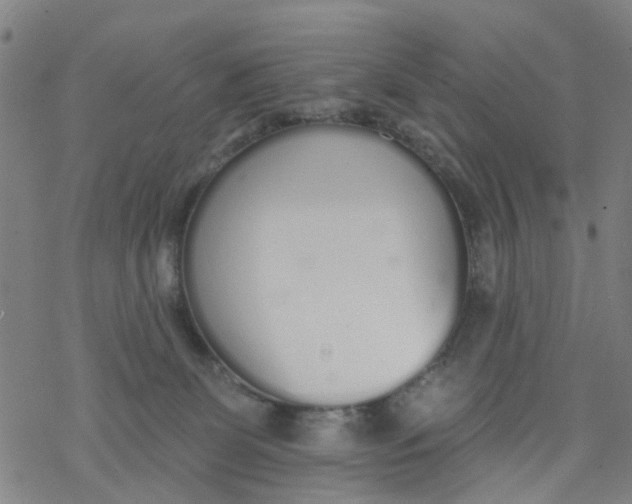 X0000077400131200611101829