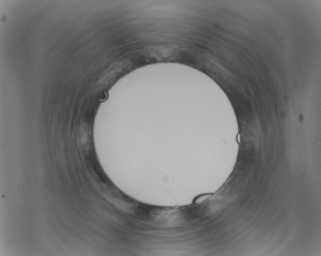 X0000077400132200611101829