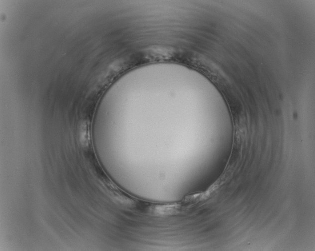 X0000077400134200611101829