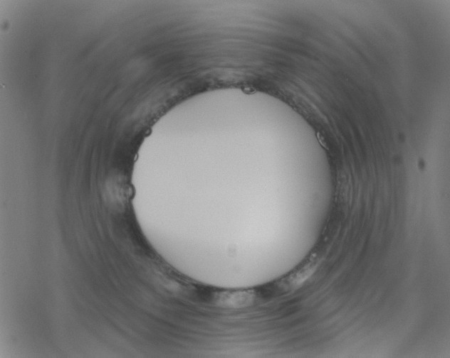 X0000077400135200611101829