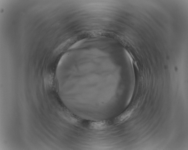 X0000077400139200611101829