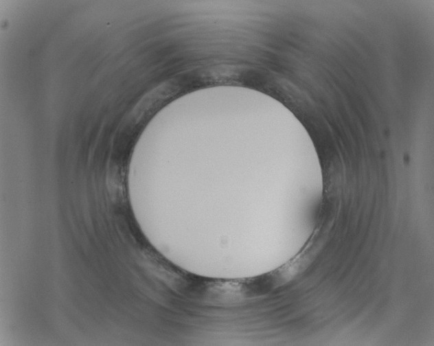 X0000077400140200611101829