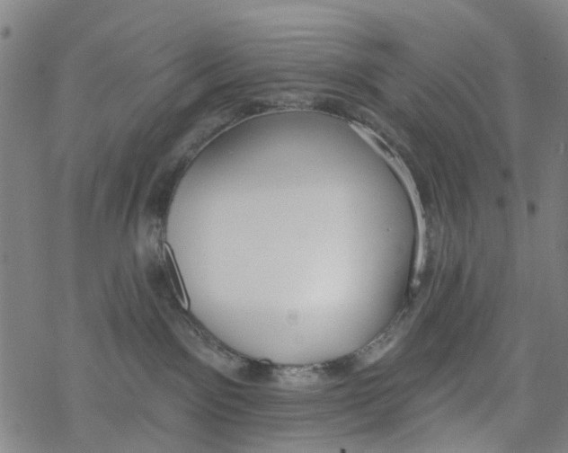 X0000077400141200611101829