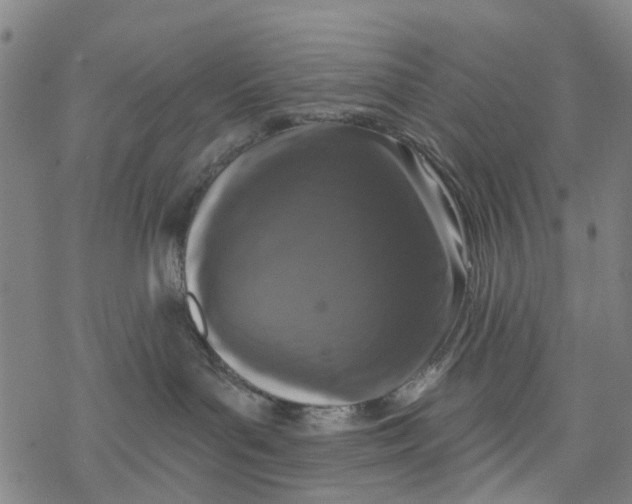 X0000077400143200611101829