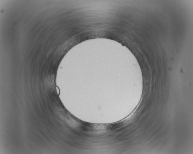 X0000077400144200611101829