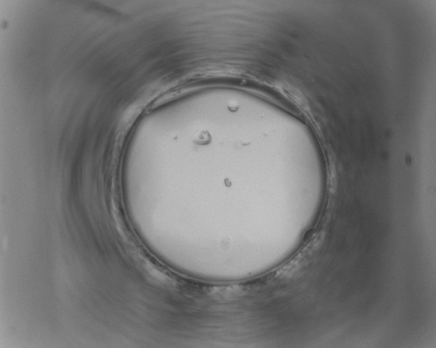 X0000077400145200611101828