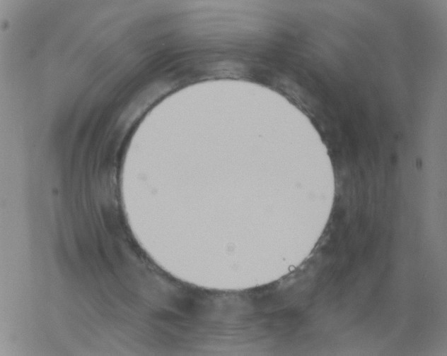 X0000077400146200611101828