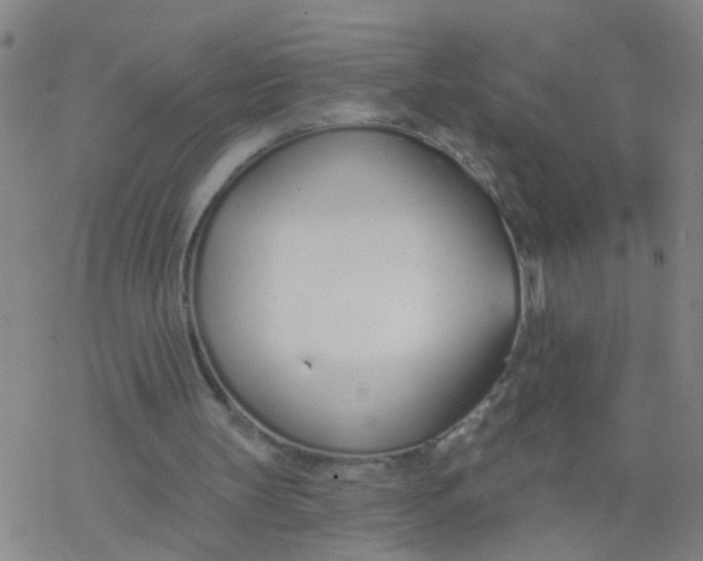 X0000077400147200611101829