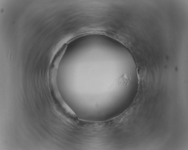 X0000077400148200611101829