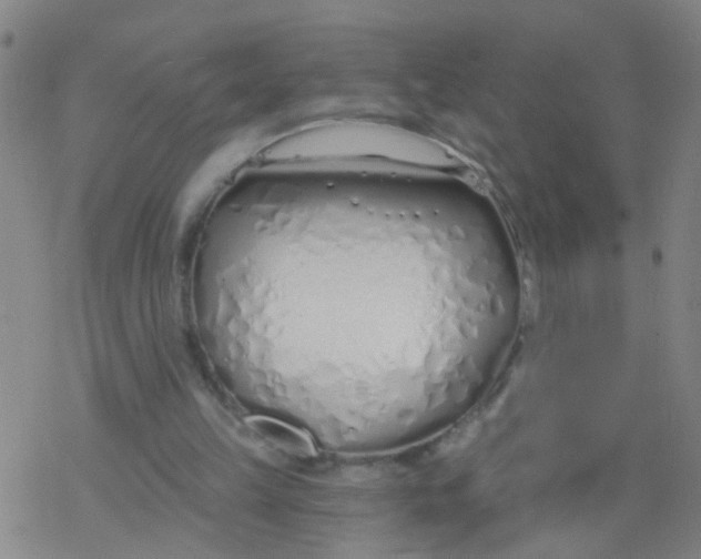 X0000077400149200611101829