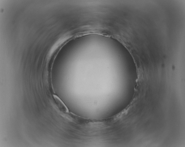 X0000077400150200611101829