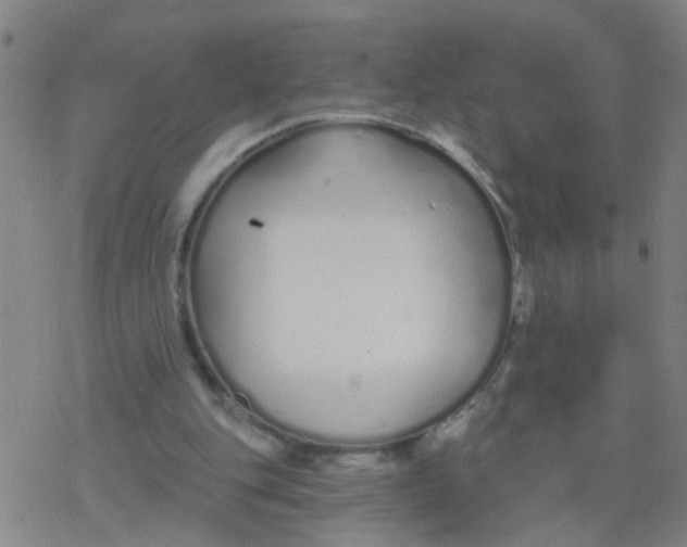 X0000077400151200611101829