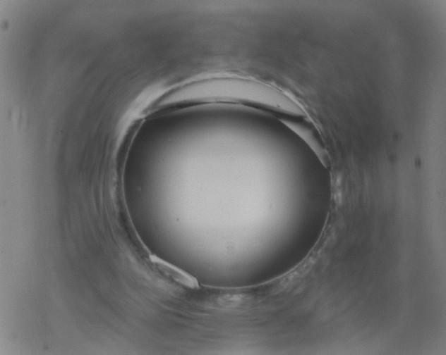 X0000077400152200611101829