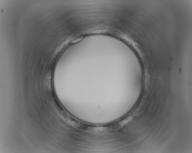 X0000077400153200611101829