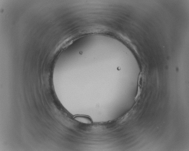 X0000077400154200611101829