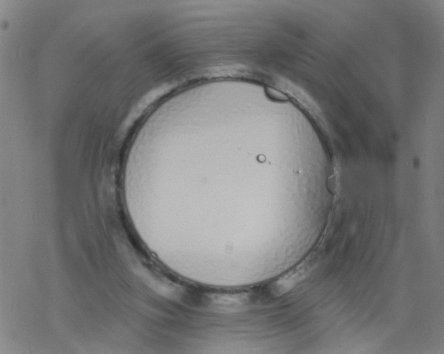 X0000077400155200611101829