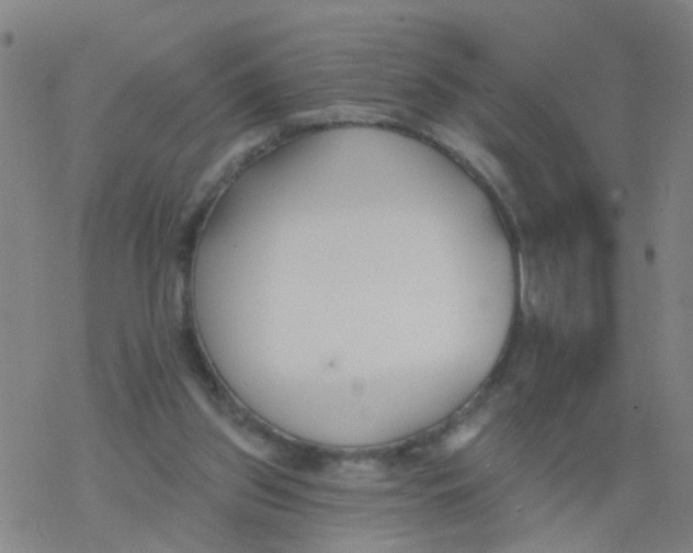 X0000077400157200611101829